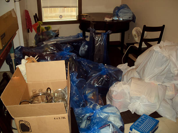 Attic Cleanout Services in Tyler, MN